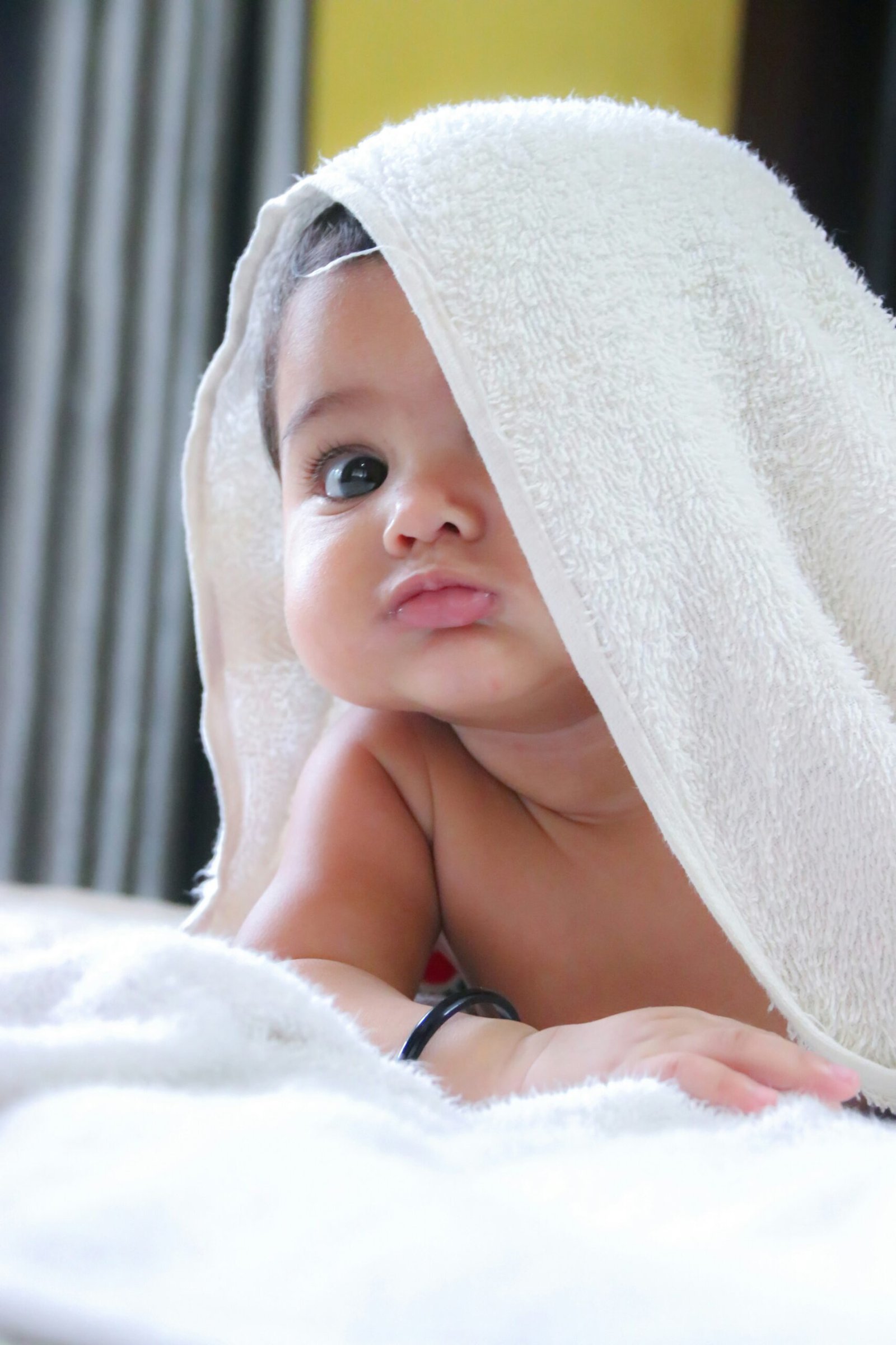 cost of IVF, IVF Cost